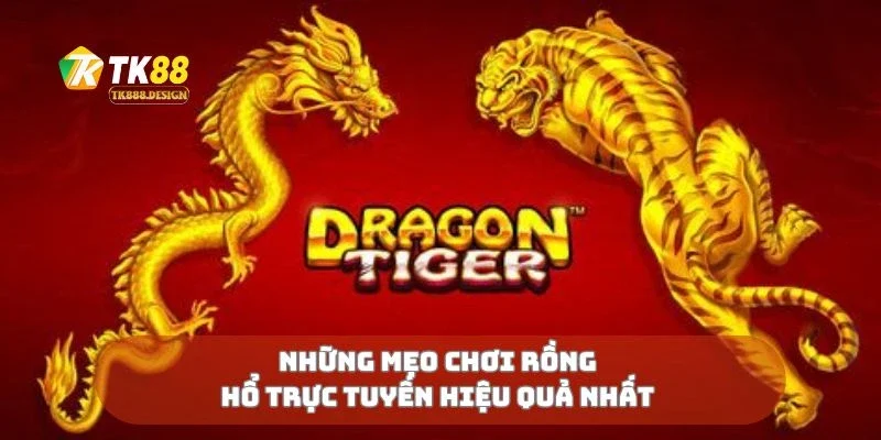 Những mẹo chơi rồng hổ trực tuyến hiệu quả nhất