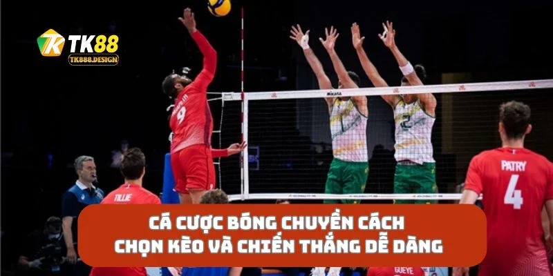 Cá Cược Bóng Chuyền Cách Chọn Kèo Và Chiến Thắng Dễ Dàng