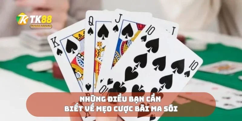Những điều bạn cần biết về mẹo cược bài ma sói